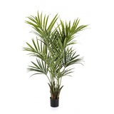 Kentia - Artificial plants