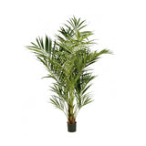 Kentia - Artificial plants