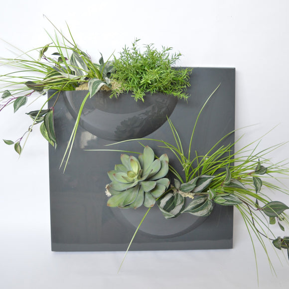 Pannello decorativo con piante - Vaso a parete in resina