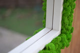 Specchiera con licheni stabilizzati e doppia cornice bianca