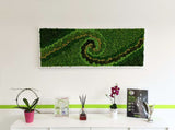 Quadro extra size licheni stabilizzati & moss