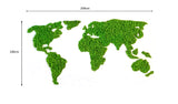 Light green stabilized lichen planisphere
