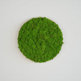 Panneau mural en lichen stabilisé vert clair