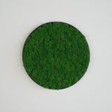 Panneau mural en lichen stabilisé vert clair
