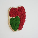 Panneau mural en lichen stabilisé vert clair