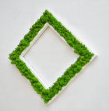 Quadro licheni stabilizzati doppia cornice bianca