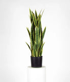 Érable vert - Plante artificielle