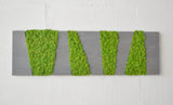 Gray panel 5 cuts - frame in stabilized wood and lichens