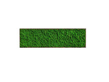 Quadro licheni stabilizzati extra size cornice legno