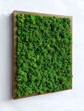 Preserved lichen picture in walnut colored wooden frame