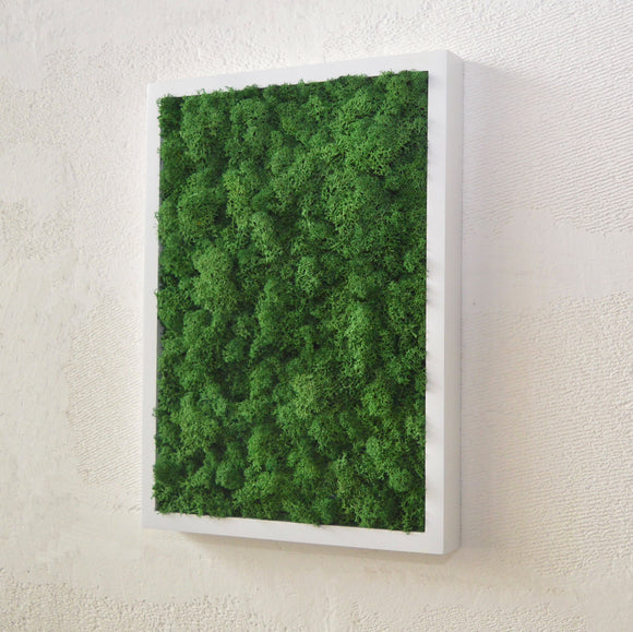Preserved lichen painting in white frame - nature green