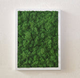 Preserved lichen painting in white frame - nature green