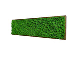 Quadro licheni stabilizzati extra size cornice legno
