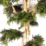Japanese Maple - Artificial plant - H 185cm