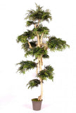 Japanese Maple - Artificial plant - H 185cm