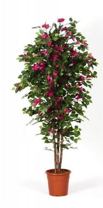 Bougainvillea - Artificial plant - Various heights