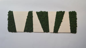 Panneau blanc, cadre rectangulaire en bois et lichens déshydratés, stabilisé