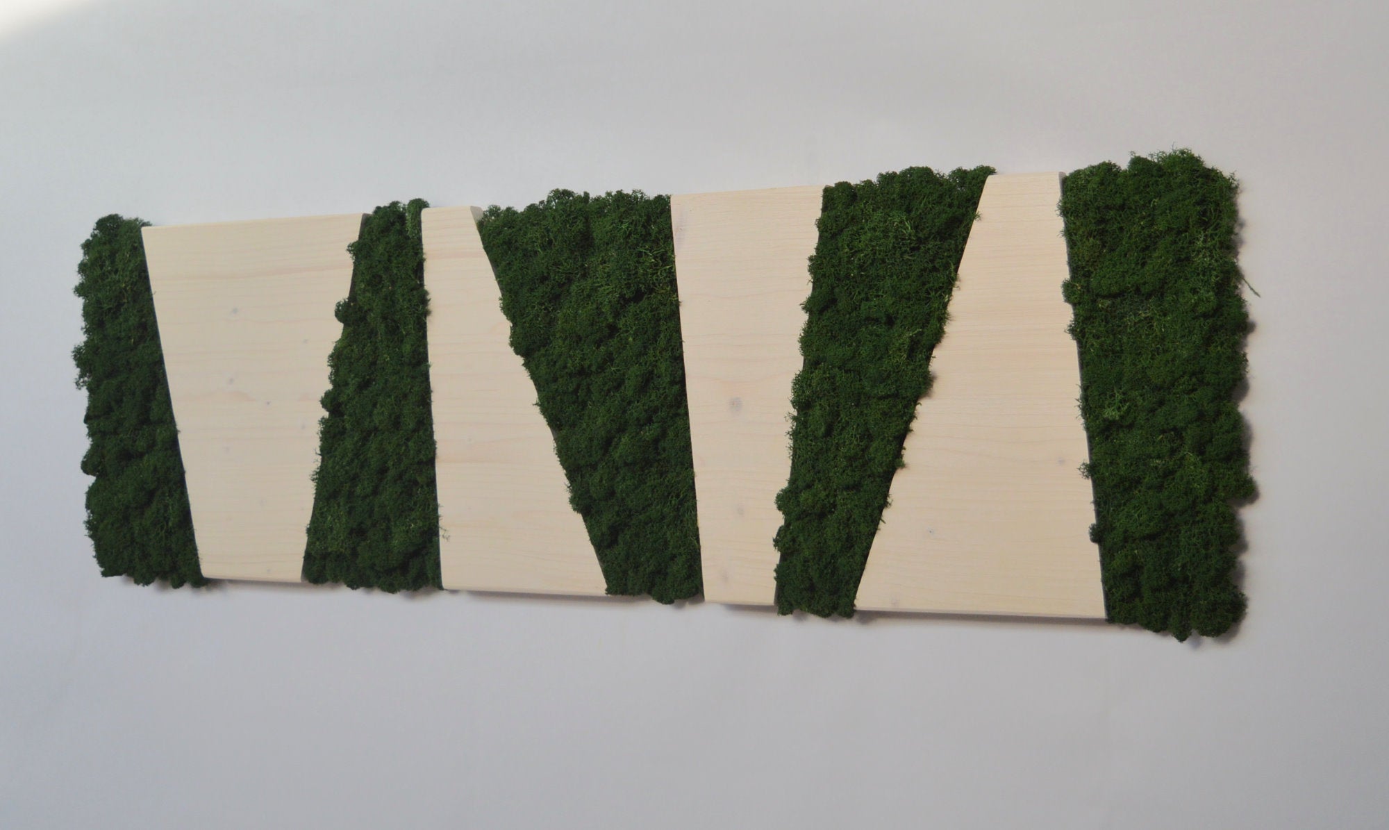 Panneau blanc, cadre rectangulaire en bois et lichens déshydratés, stabilisé