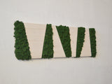 Panneau blanc, cadre rectangulaire en bois et lichens déshydratés, stabilisé