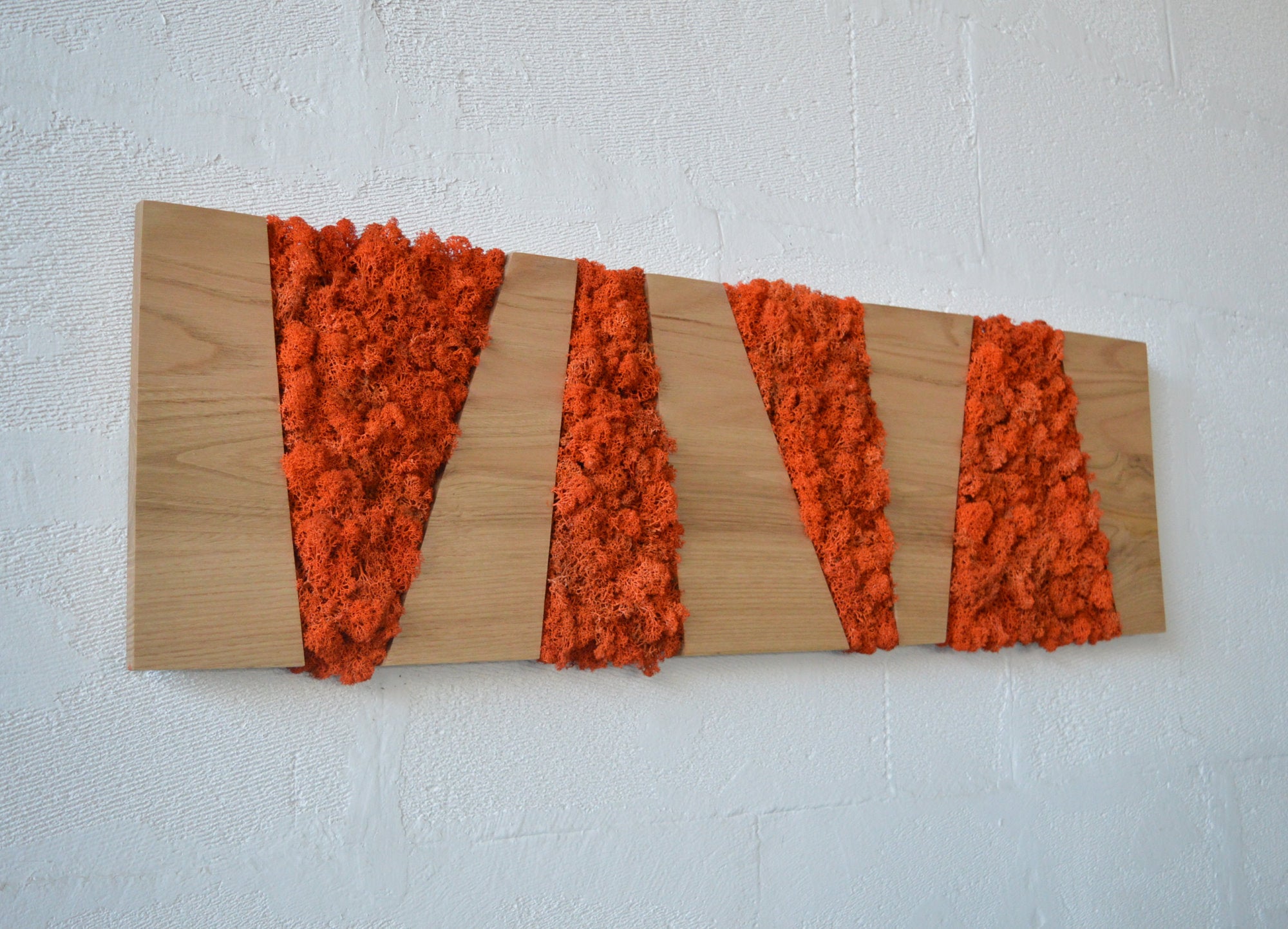 Walnut colored panel, rectangular frame in wood and dehydrated, stabilized orange lichens