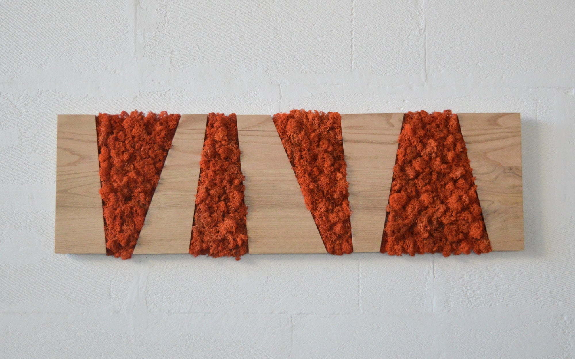 Walnut colored panel, rectangular frame in wood and dehydrated, stabilized orange lichens