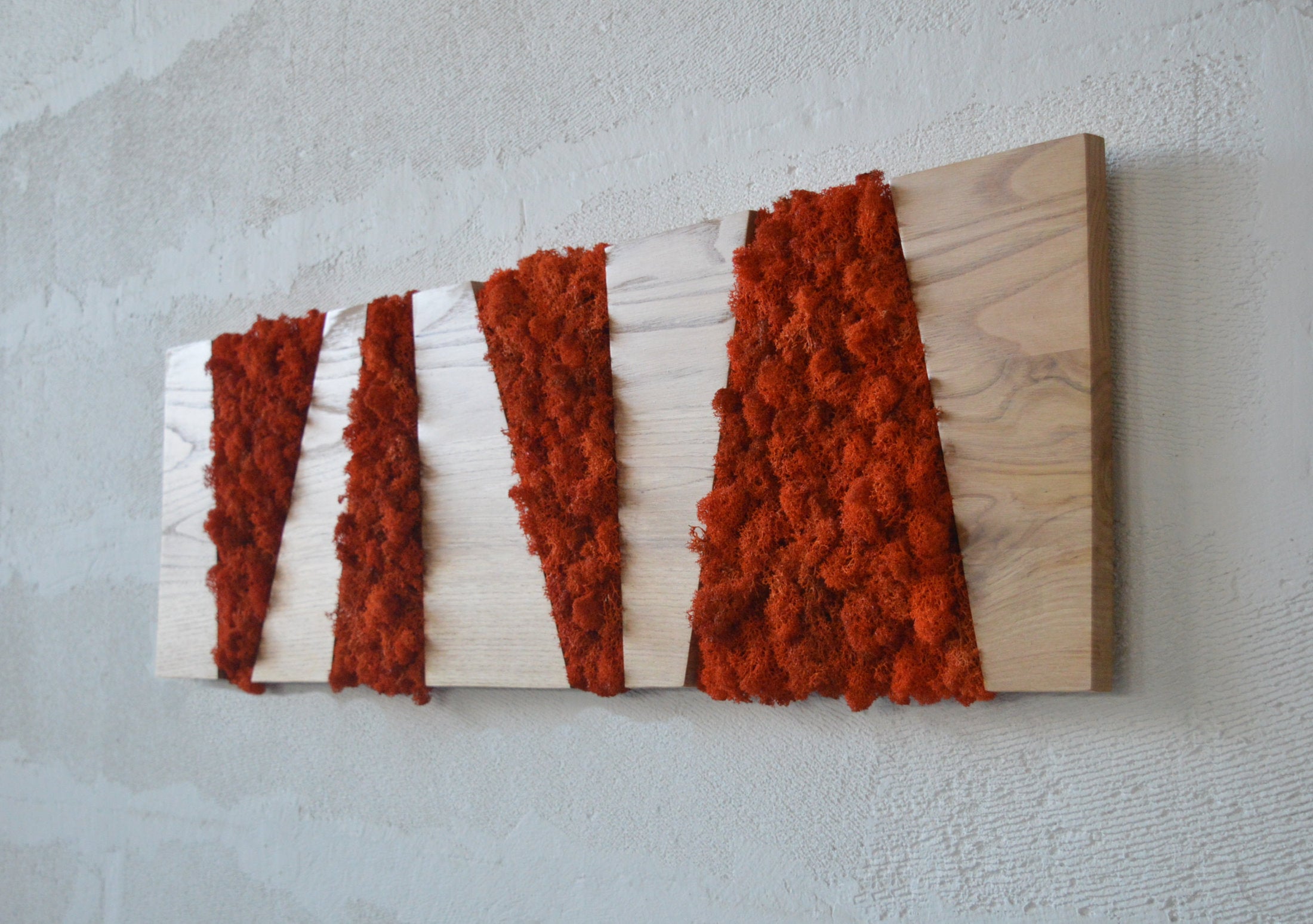 Panneau de couleur noyer, cadre en bois rectangulaire et lichens oranges déshydratés stabilisés