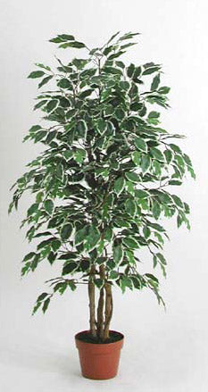 Pianta artificiale Ficus variegato 120h 768 foglie con vaso