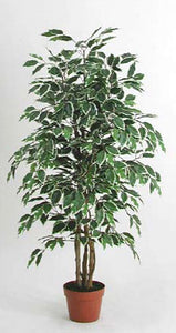 Ficus screziato - Pianta finta con foglie variegate