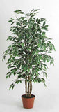 Mottled ficus - Fake plant with variegated leaves
