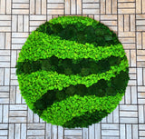 Circular wall panel WAVE lichens & polemoss