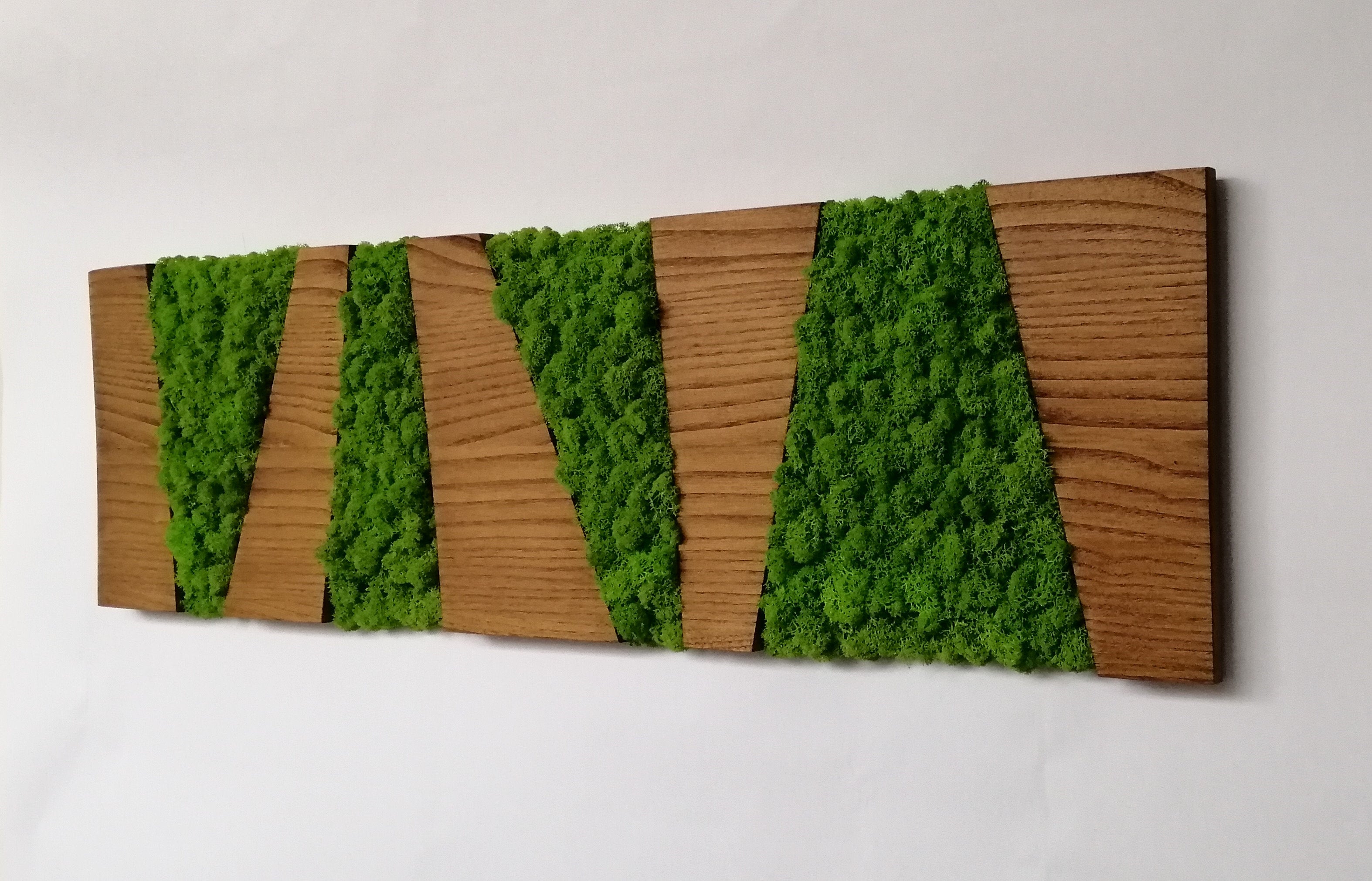 Panneau de couleur noyer, cadre en bois rectangulaire et lichens déshydratés et stabilisés