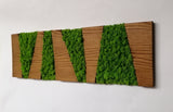Walnut colored panel, rectangular frame in wood and dehydrated, stabilized lichens