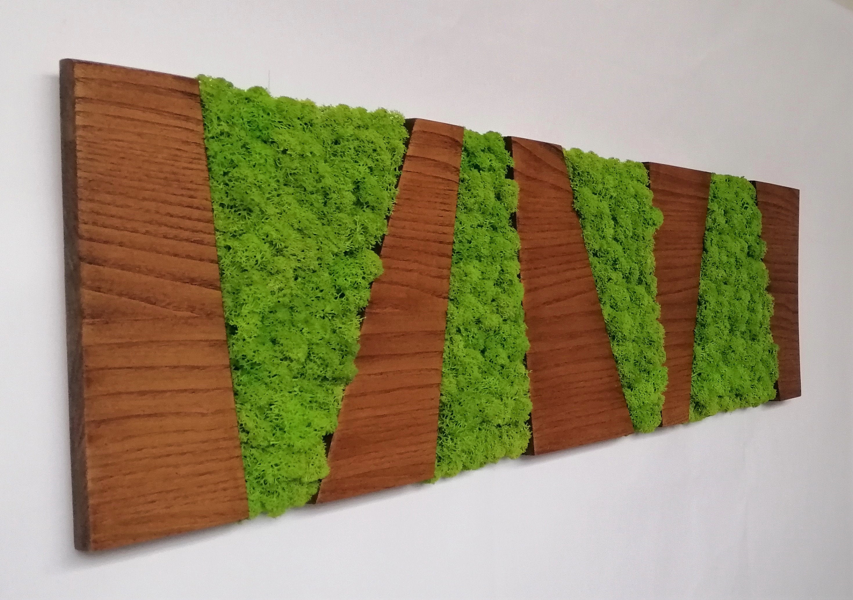 Panneau de couleur noyer, cadre en bois rectangulaire et lichens déshydratés et stabilisés