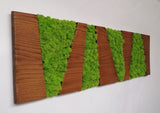 Walnut colored panel, rectangular frame in wood and dehydrated, stabilized lichens