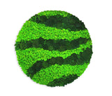 Circular wall panel WAVE lichens & polemoss