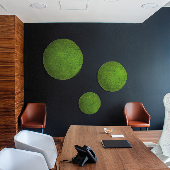 Pannello circolare a parete licheni stabilizzati light green – ELGREN