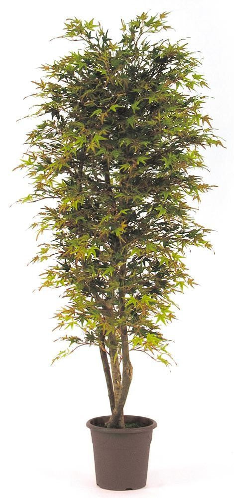 Érable d'automne - Plante artificielle