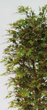 Autumn Maple - Artificial Plant - Various Heights