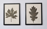 Birch wood picture with Maple leaf - wall decoration