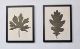 Birch wood picture with oak leaf - wall decoration