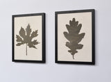 Birch wood picture with Maple leaf - wall decoration