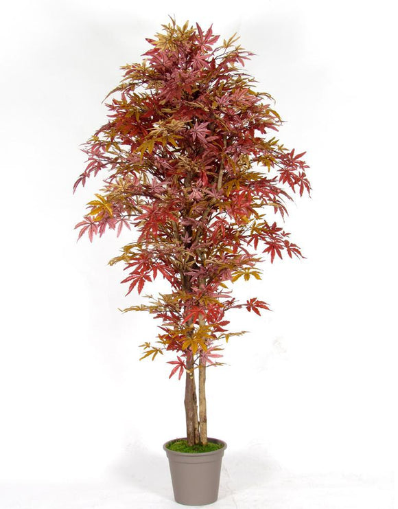 Érable rouge - Plante artificielle