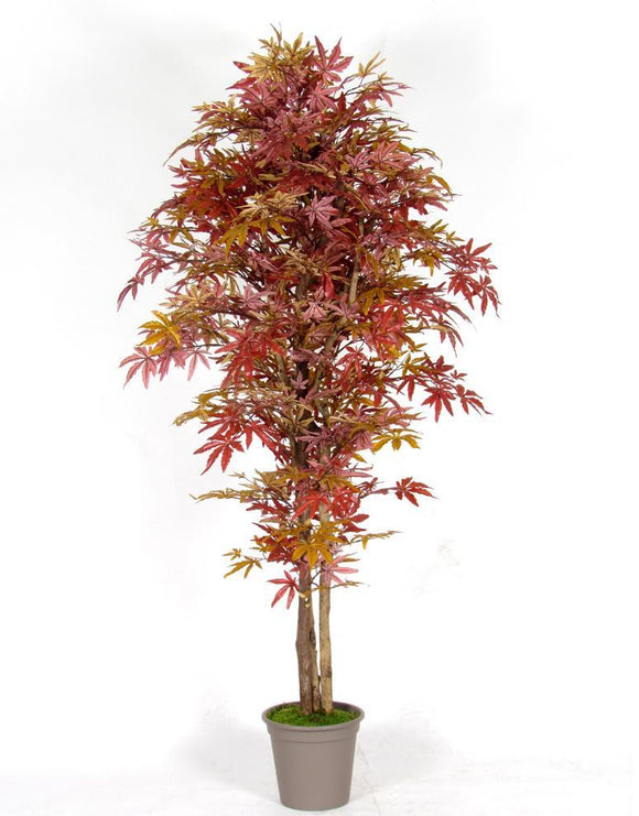 Red Maple - Artificial plant - Various heights