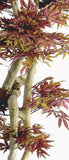Japanese Maple - Artificial plant - H 185cm