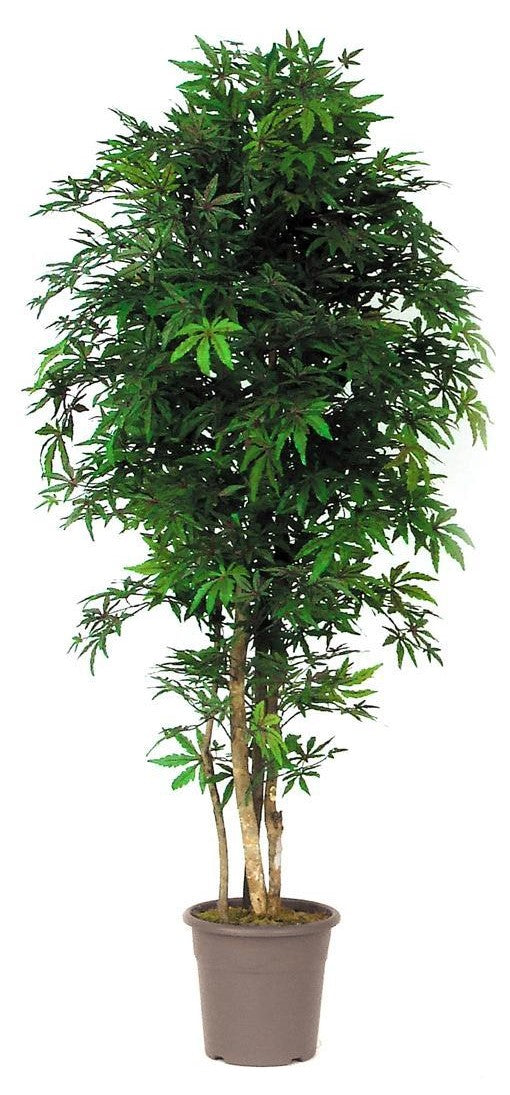 Plante artificielle en pot Herbe vert foncé pot blanc10.5'' D x 11