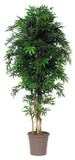 Acero  Verde - Pianta artificiale - Varie altezze