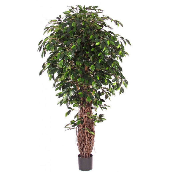 Ficus tronc supplémentaire - Plante artificielle h 200 cm