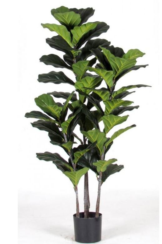 Ficus Pandorato - Lyrata - Planta artificiale h. 140 cm