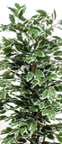 Ficus screziato - Pianta finta con foglie variegate