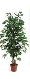 Ficus green leaves - Artificial plant